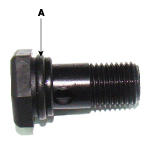 G12055704