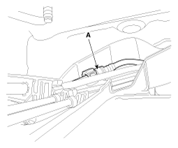 G12088619