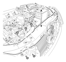 G12089560