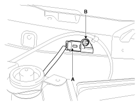 G12089561