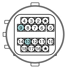 G12163246