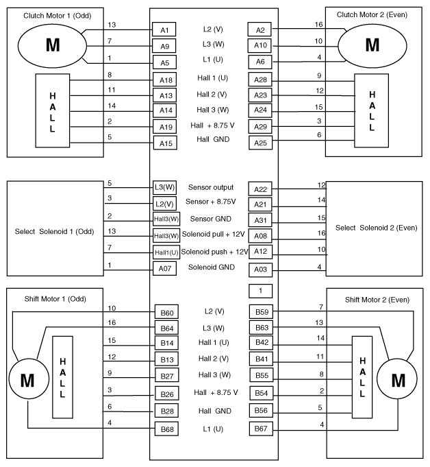 G12163496