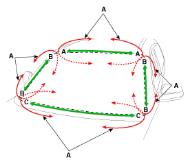 G12226248