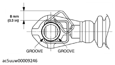 G12233208