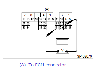 G12438136