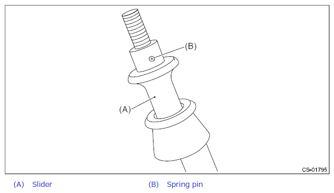 G12448460