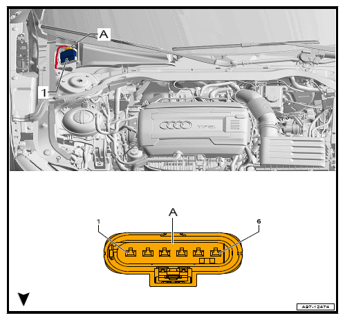 G12778492