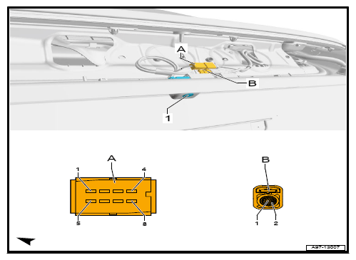 G12778584