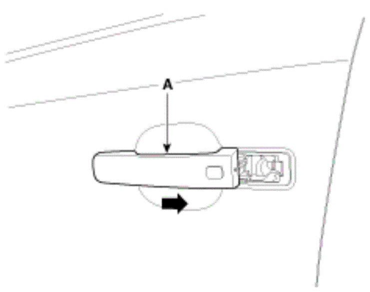 G12822528