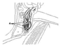G12822853