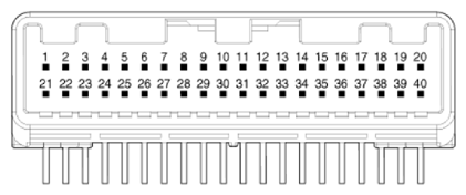 G12915145
