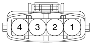 G12915380