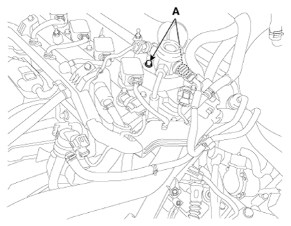 G12915494