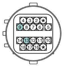 G12922513