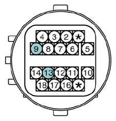G12932963