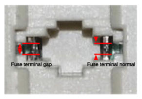 G12977268