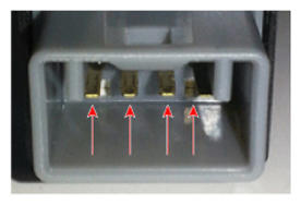 G12977278
