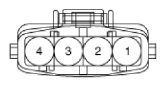 G13015575
