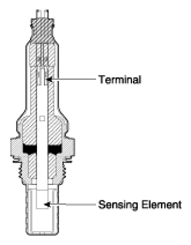 G13020955