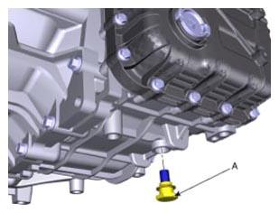 G13035296