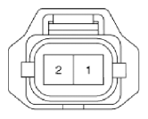 G13036955