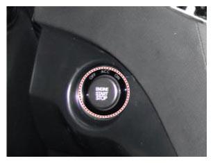 G13038218