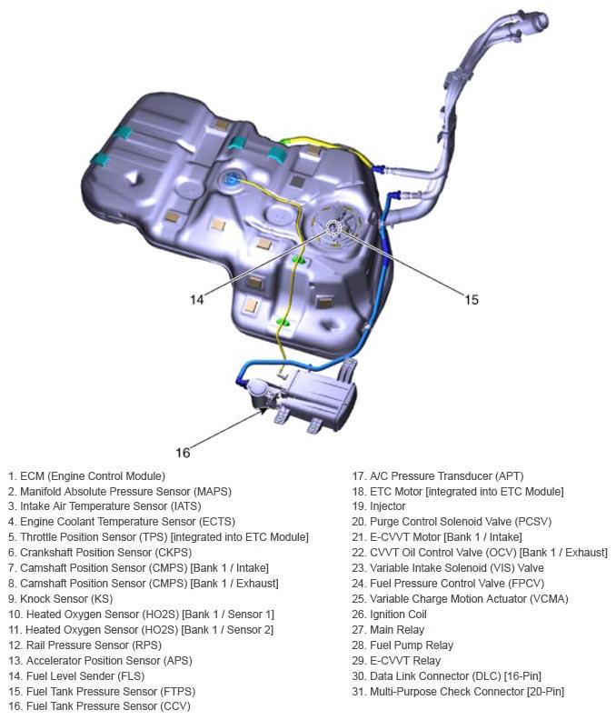 G13039394