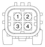 G13039458