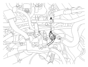 G13039459