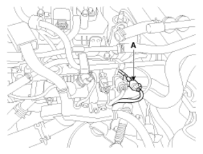 G13039461