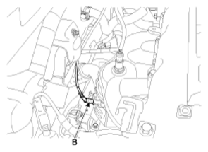 G13039462
