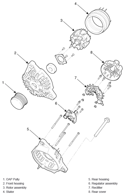 G13039565