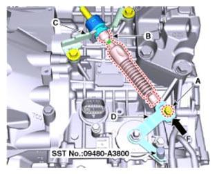 G13039976