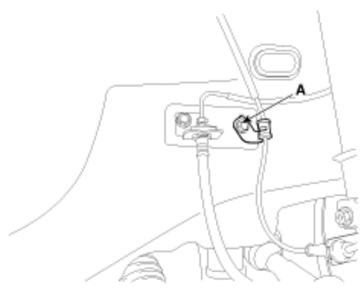 G13045654