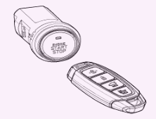 G13054840