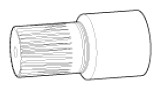 G13055376