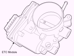 G13055516