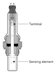 G13055553