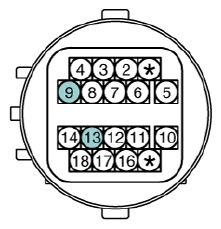 G13077816