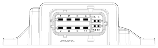 G13143574