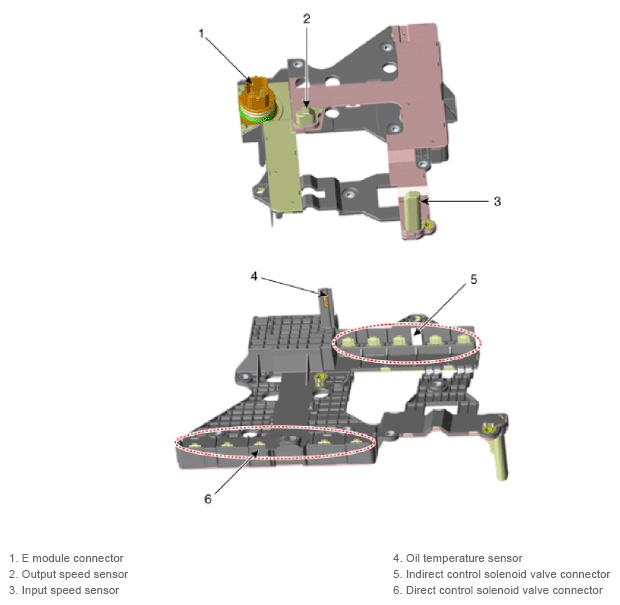 G13143642