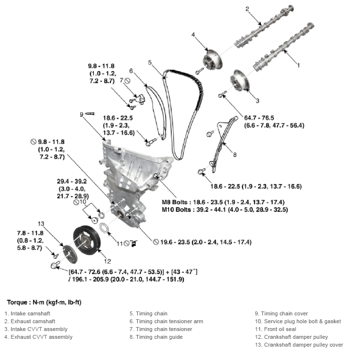 G13155362
