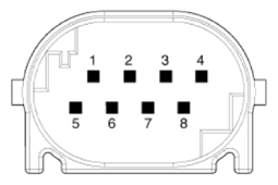 G13155464