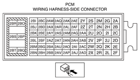 G13174094
