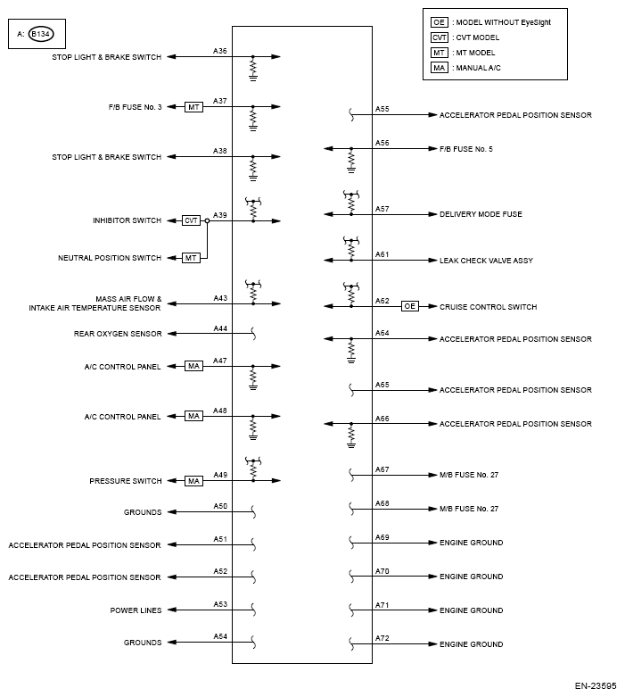 G13238572
