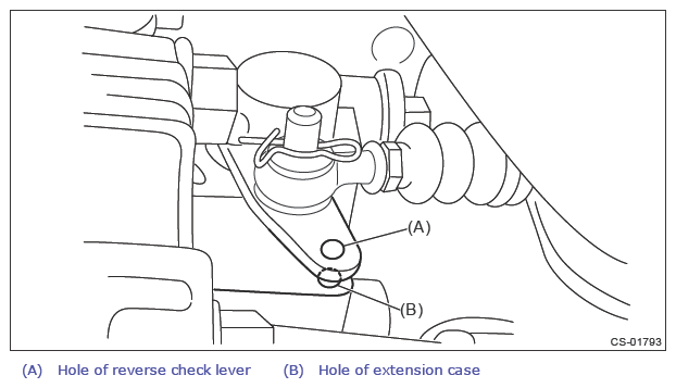 G13260638
