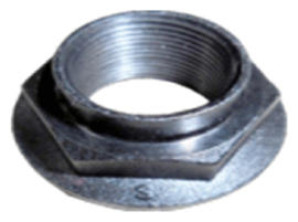 G13281246