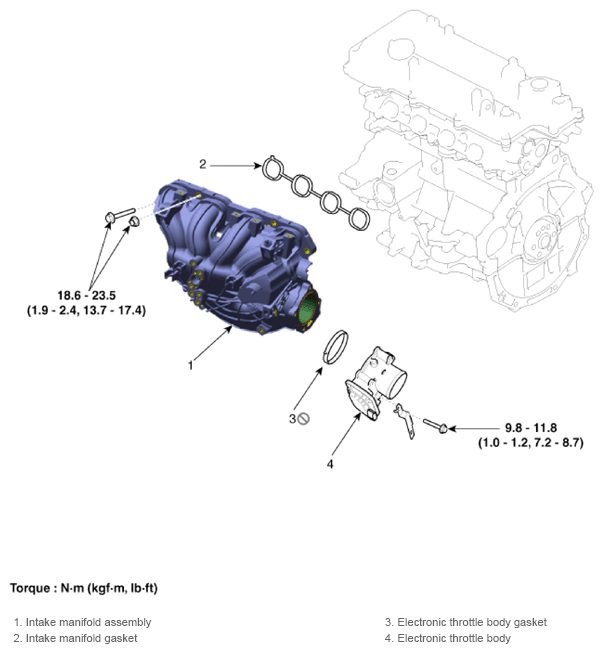 G13303398