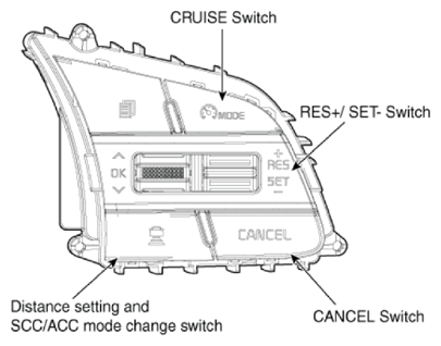 G13303685