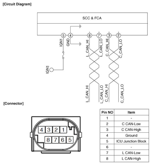 G13303689